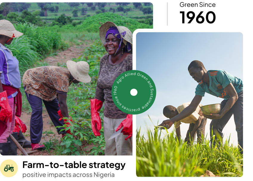 Sustainability Impact - Farm to Table Strategy