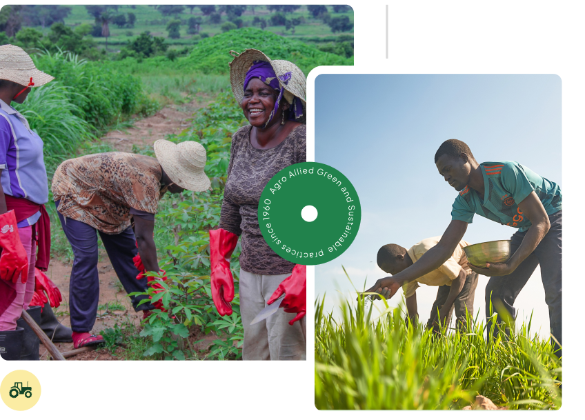 Sustainability Impact - Farm to Table Strategy